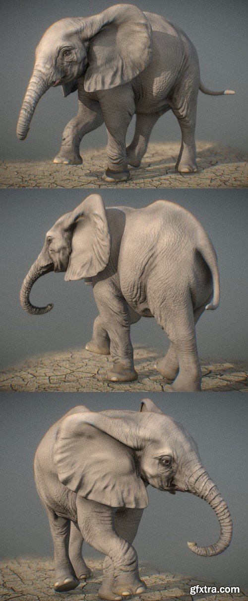 African Elephant calf sculpt 3D Model