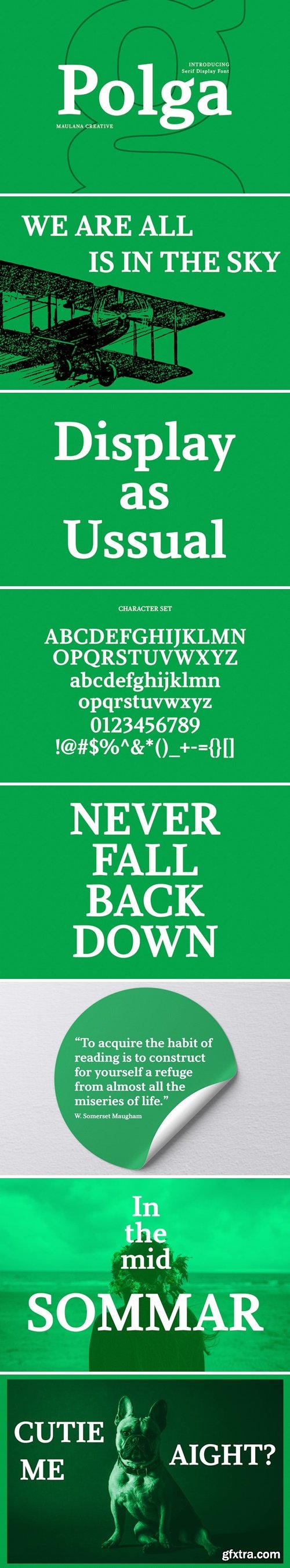 Polga Display Serif Font