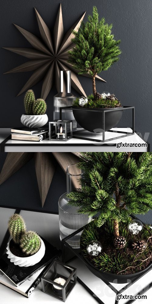 Decor set with pine tree