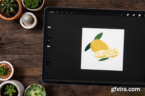 Procreate for iPad Beginner ClassA