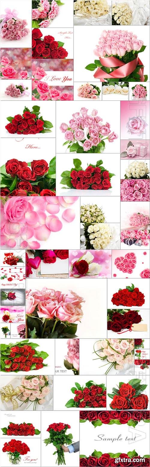 Beautiful roses, flowers - 50 stock photo collection