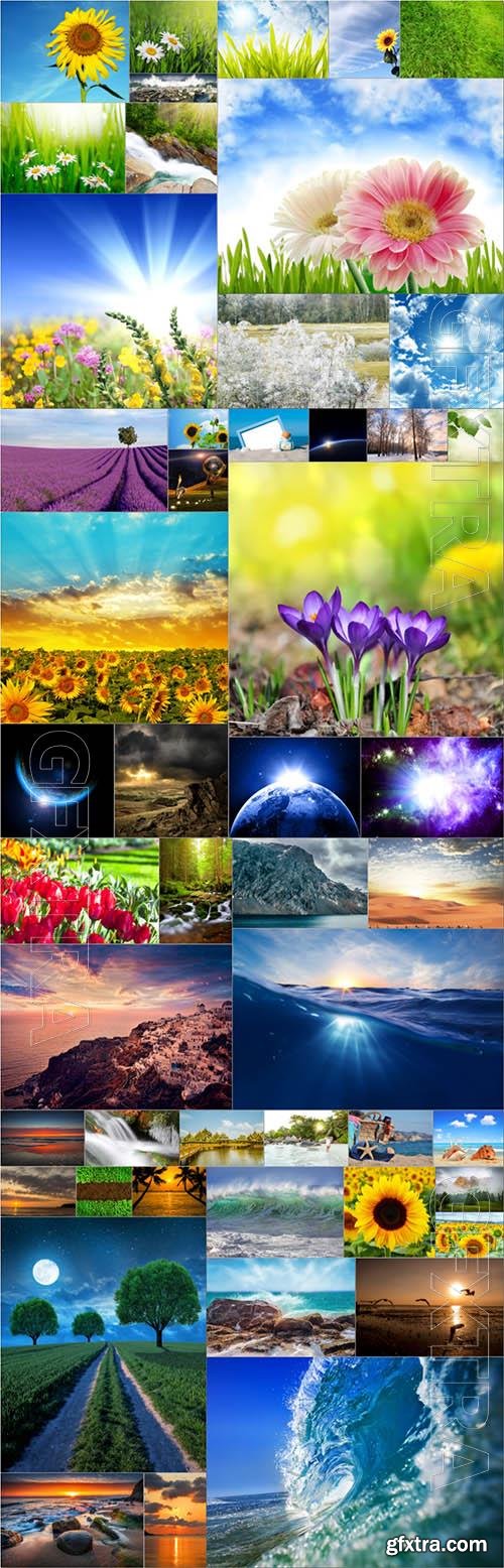 Nature, fields, meadows, sea, trees, flowers - 50 stock photo collection