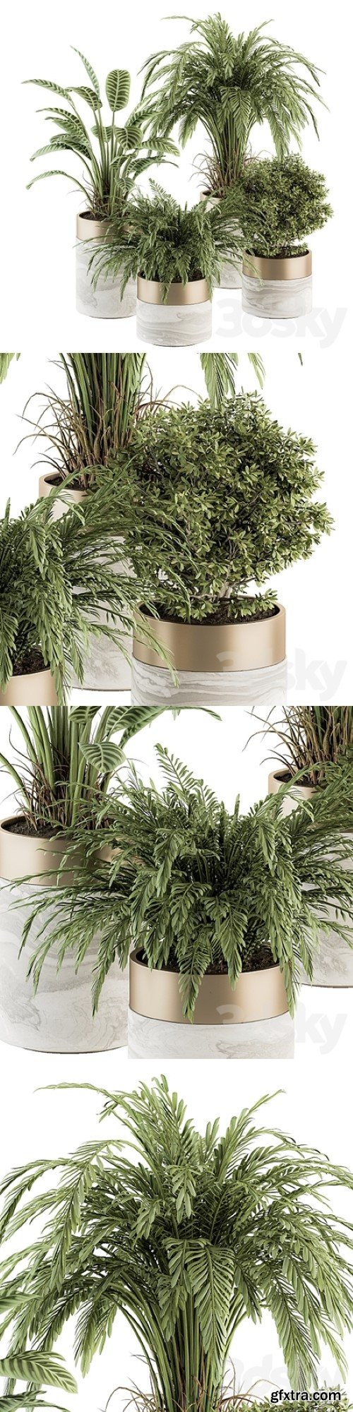 Indoor Plant Set 245 &ndash; Plant Set in pot