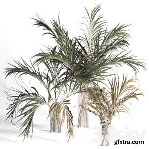 Dry palm leaves in vases