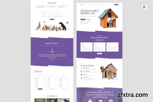 Pet Care & Veterinary UI Design