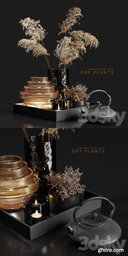 Decorative set with dry plants 3