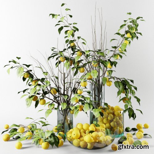 Bouquet of Chinese apple tree branches with yellow apples