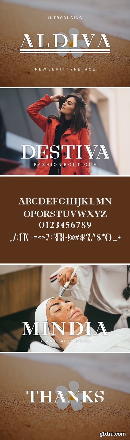 Aldiva Fonts