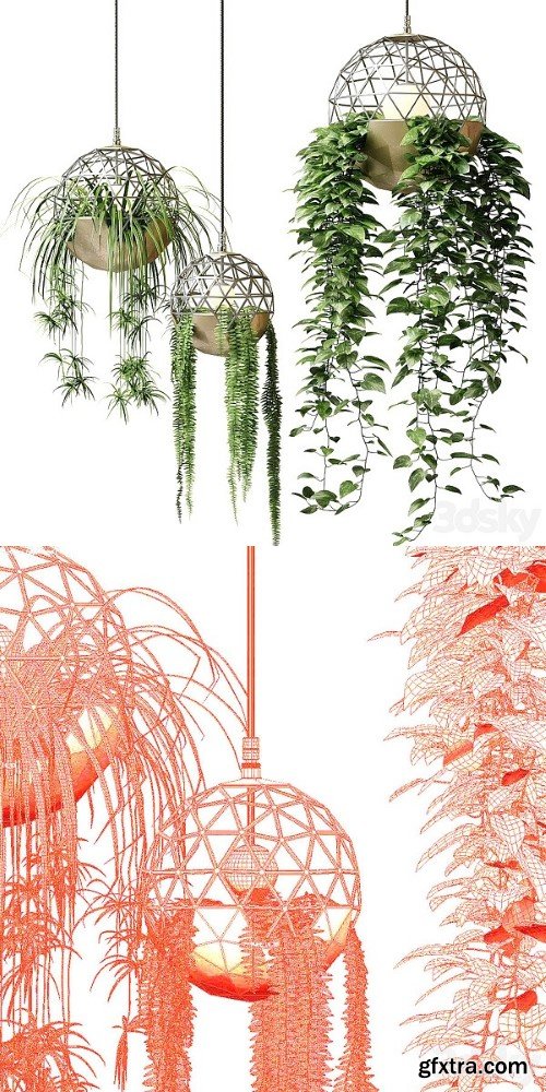 Atelier Schroeter Luminaires With Hanging Plants