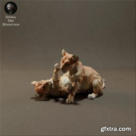 Lion Cubs Playing – 3D Print Model