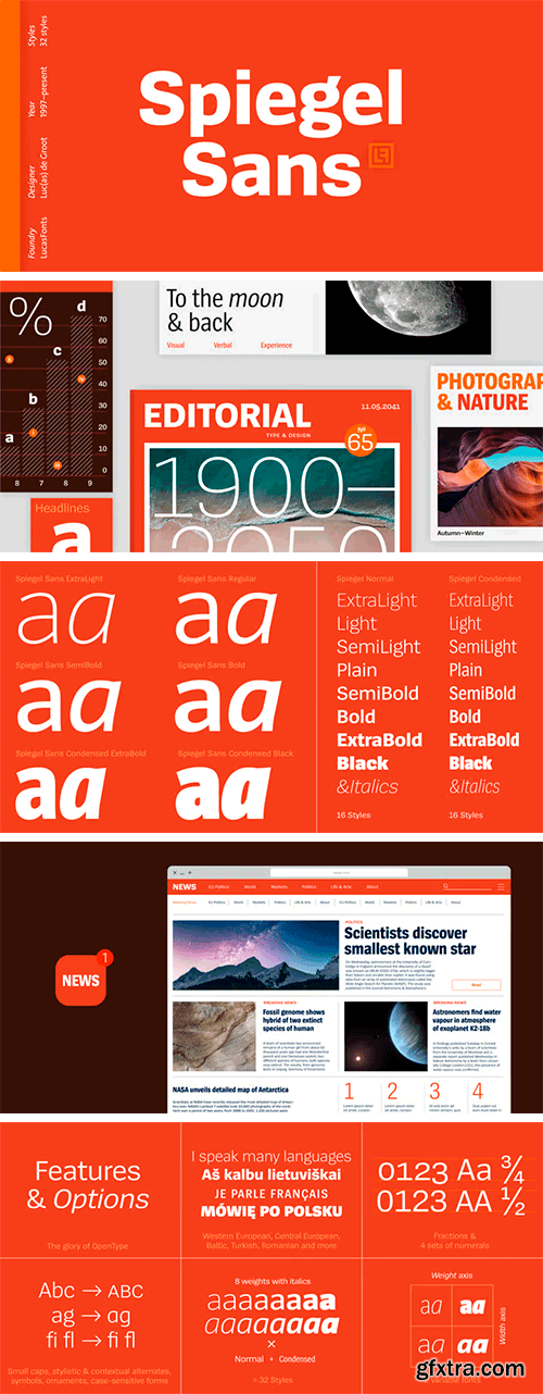 Spiegel Sans Font Family