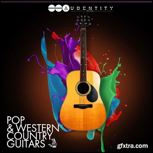 Audentity Records Pop and Western Country Guitars