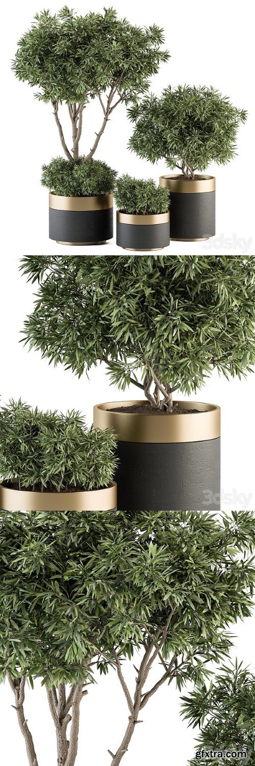 Indoor Plant Set 361 