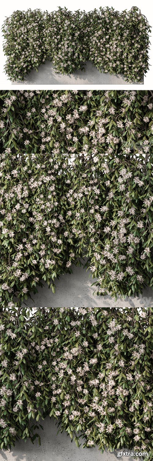 Outdoor Hanging Plants with White Flower - Set 390 | Vray+Corona
