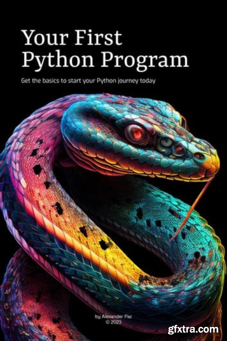 Your First Python Program Get the basics to start your python journey today