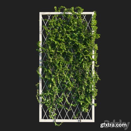 Vines on wall | Corona