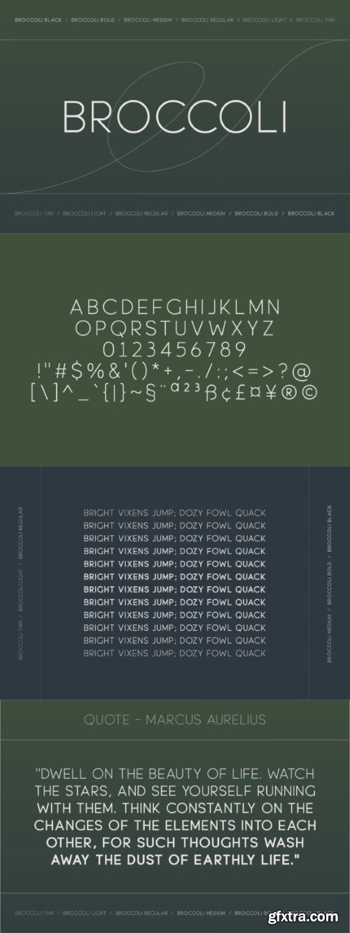 Broccoli Font