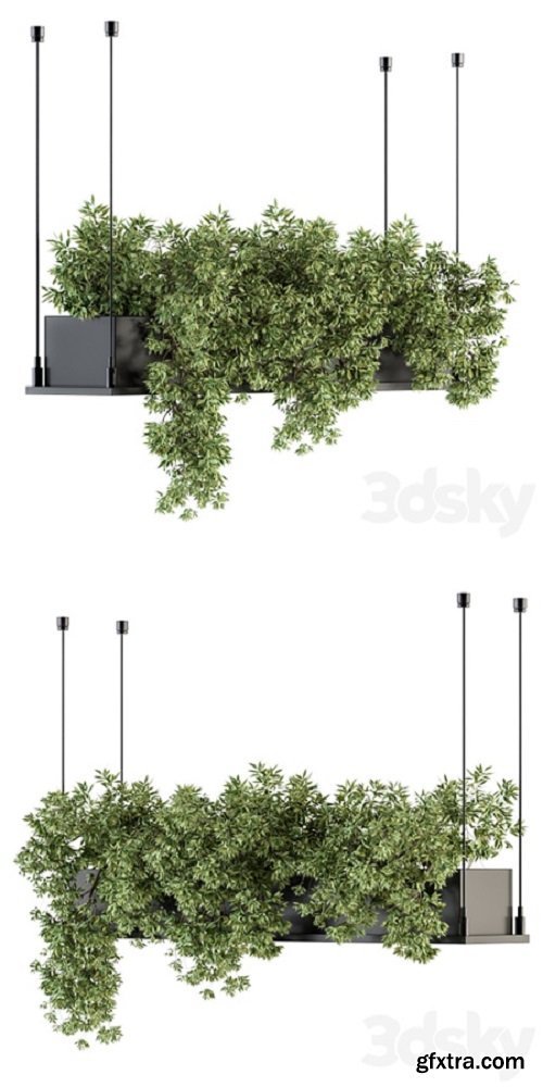 indoor Plant Set 217 – Hanging Plant Box  | Vray+Corona