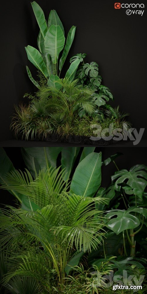 Plants collection 196 | Vray