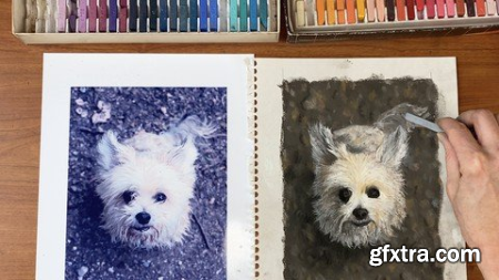 Animal Textures In Chalk Pastel