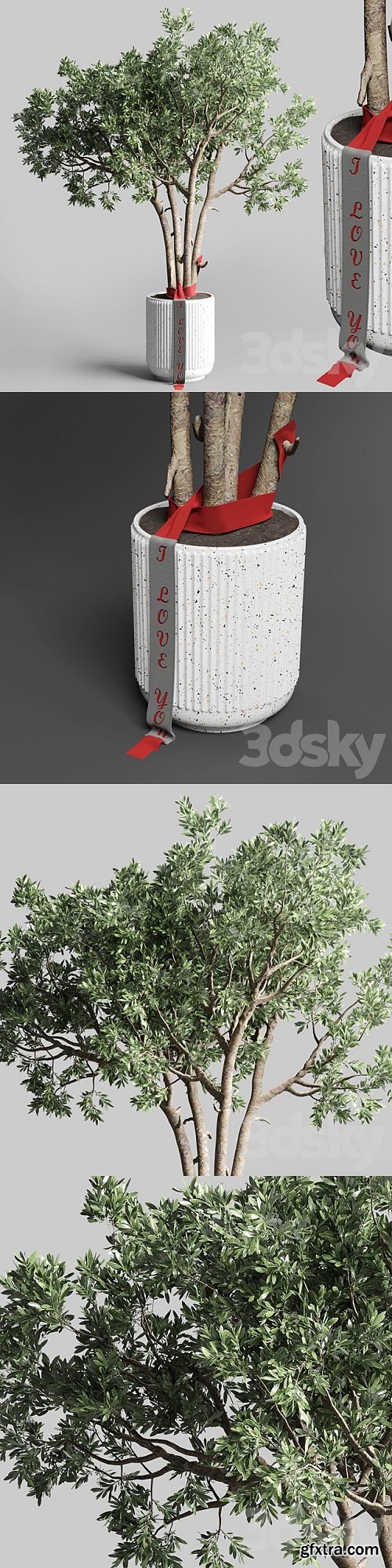 Indoor outdoor plant 111 | Vray+Corona