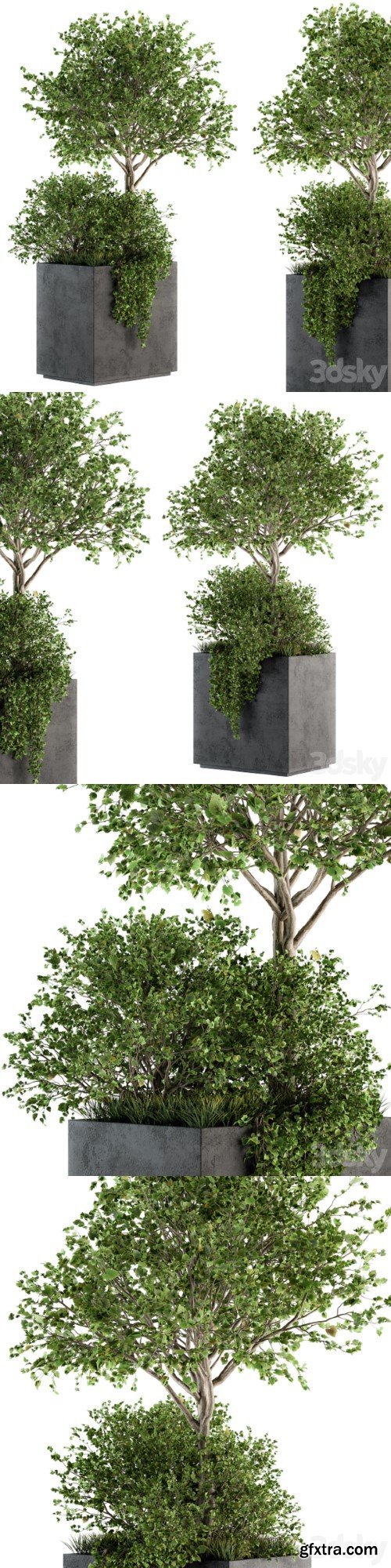 Outdoor Plants in Concrete Plant Box - Set 93 | Vray+Corona