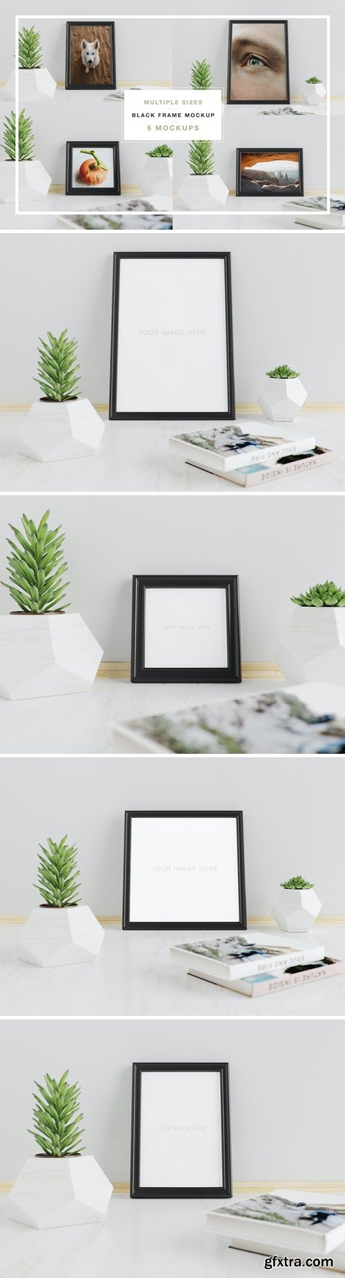 6 Black Frame Mockup with succulent Plant EU4UNAU