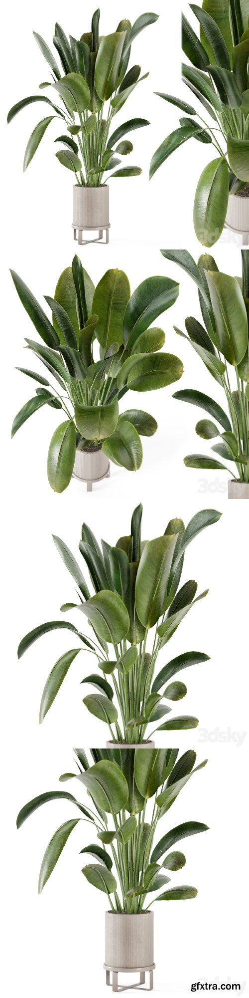 Indoor Plants in Ferm Living Bau Pot Large - Set 378 | Vray+Corona