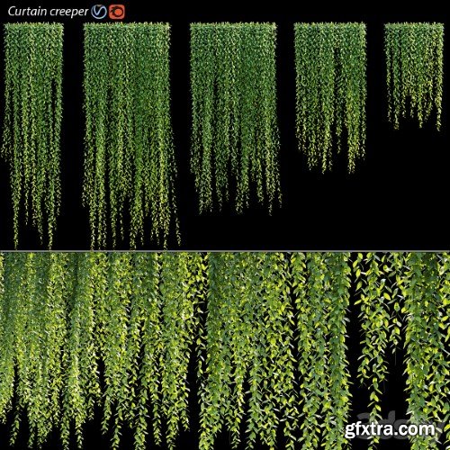 Vernonia Elliptica | Curtain creeper | Vray+Corona