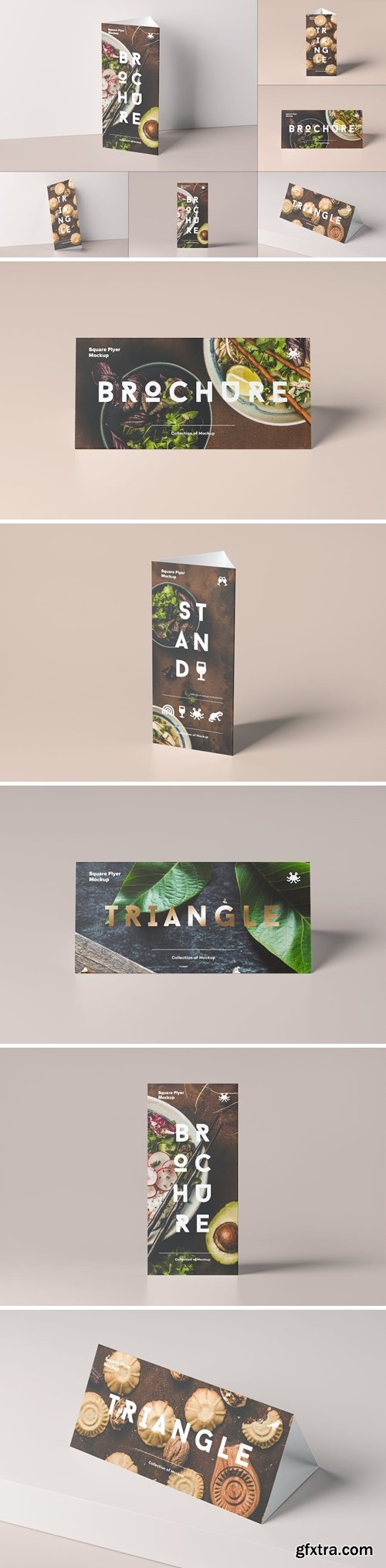 Triangle DL Brochure Stand Mock-up MTX37YV