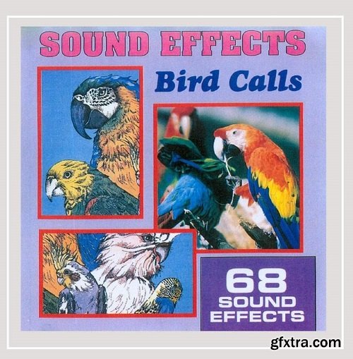 Anton Hughes Sound Effects Bird Calls