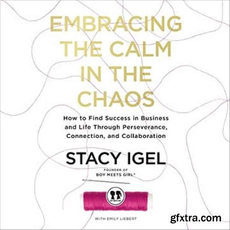 Embracing the Calm in the Chaos How to Find Success in Business and Life Through Perseverance, Connection [Audiobook]