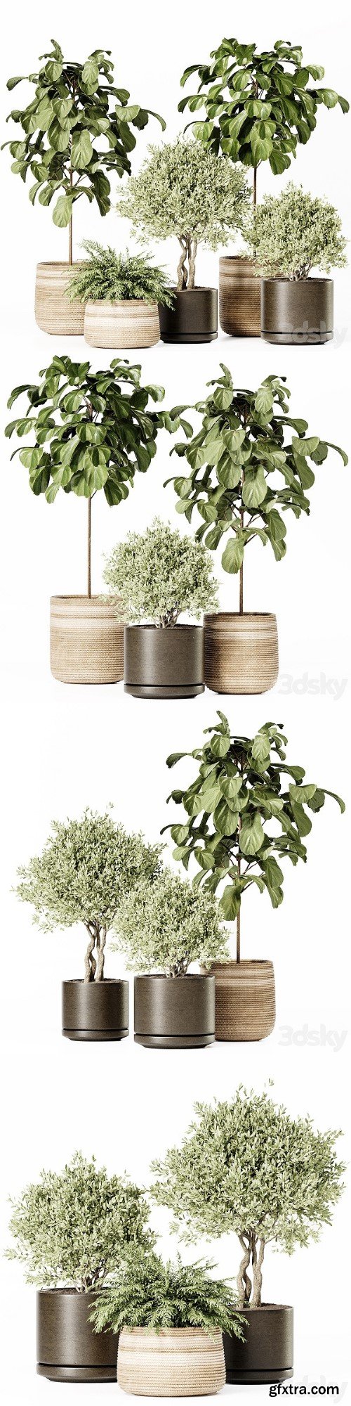 Indoor Plants Set 022 | Vray+Corona