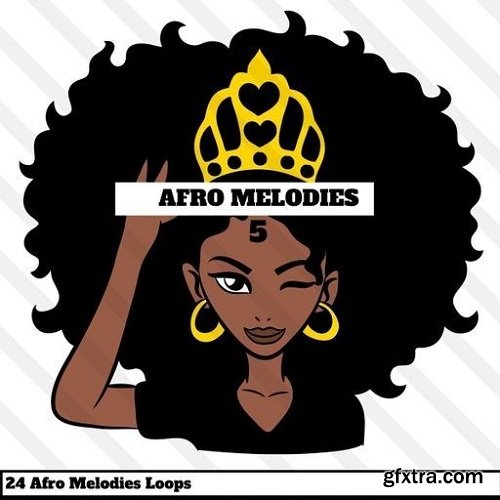 HOOKSHOW Afro Melodies 5