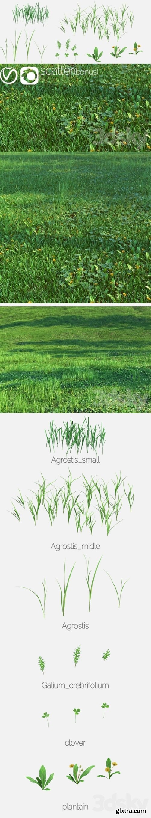 Set for the Creation of Field Grass and Lawns | Vray+Corona