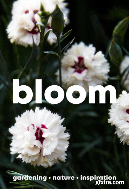 Bloom - Issue 14, 2023