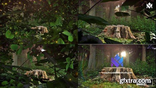 Videohive Nature Logo Reveal 44157637