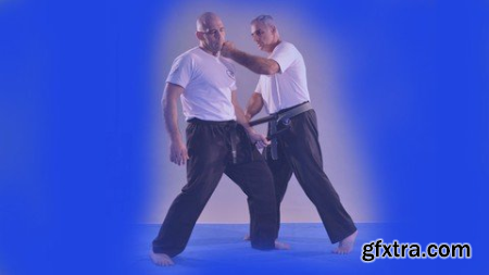 Krav Maga - Official Program Fekm Blue Belt