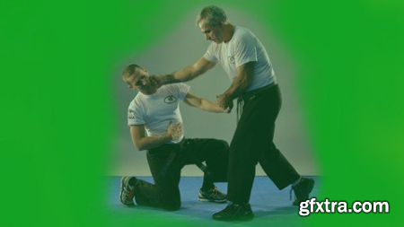 Krav Maga - Official Program Fekm Green Belt