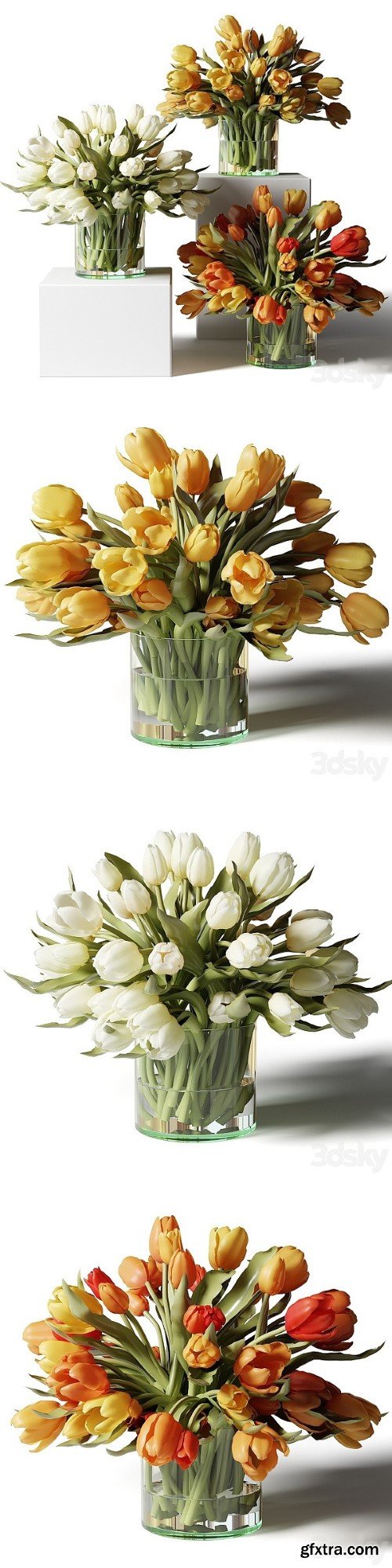 Yellow Red and White Tulips in Glass Vases | Vray+Corona