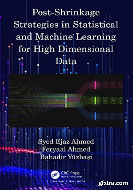Post-Shrinkage Strategies in Statistical and Machine Learning for High Dimensional Data (True EPUB)