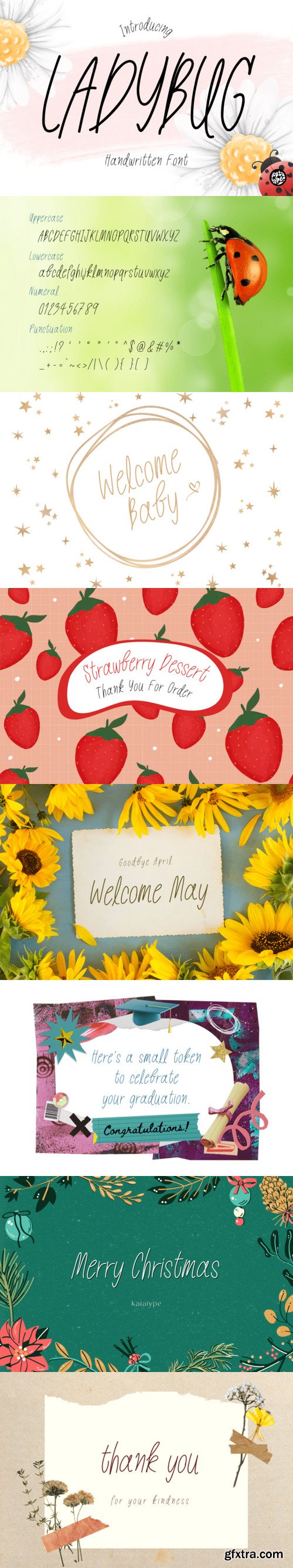 Ladybug Font