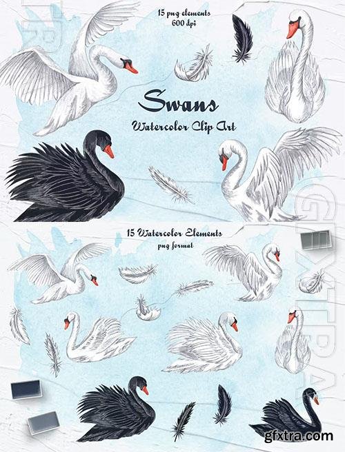 Swans Watercolor Clipart 