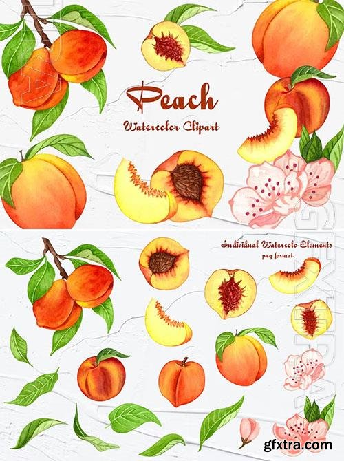 Peach Watercolor Clipart 