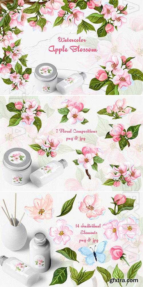 Apple Blossom Watercolor Clipart 