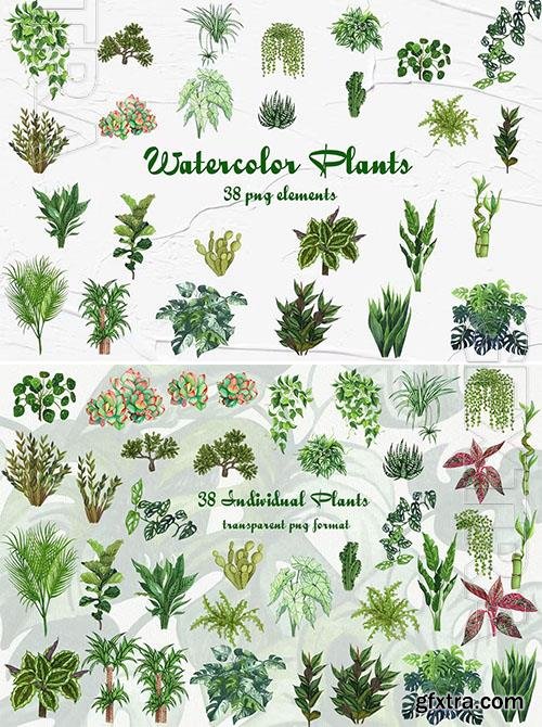 Watercolor Houseplants Clipart Design 