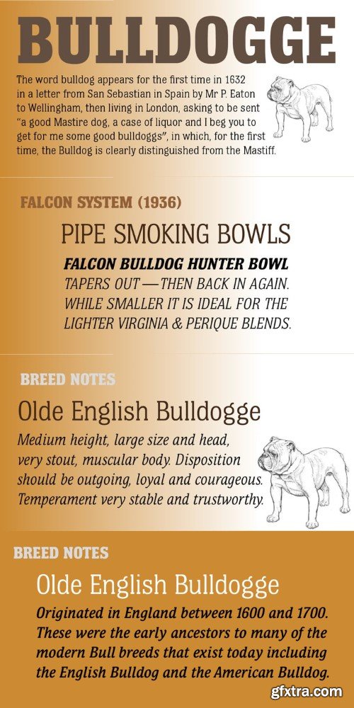 Bulldog Hunter Std Font Family