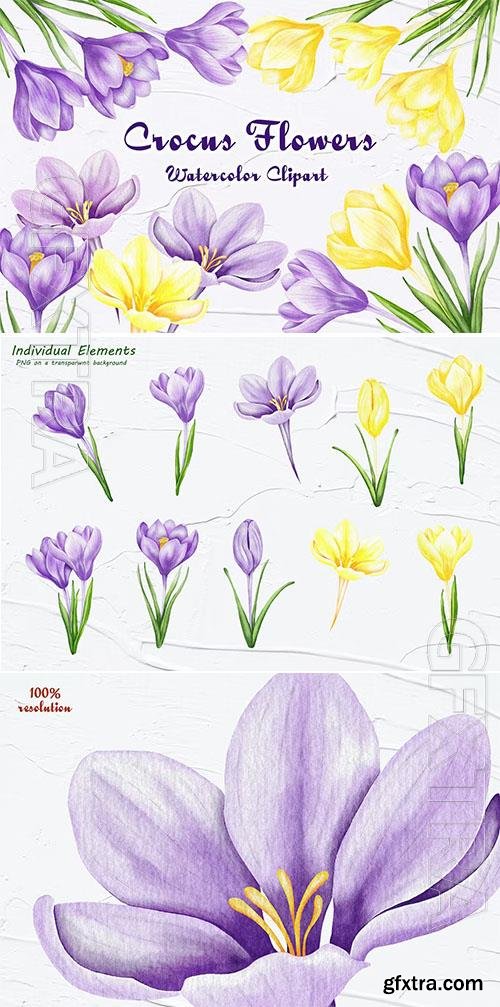 Watercolor png clipart - Spring Flowers Crocus