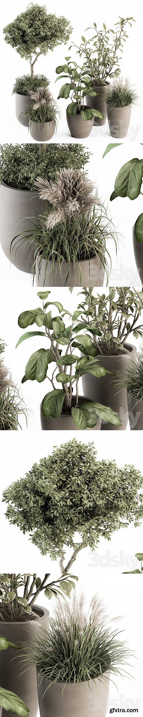 Pro 3DSky - indoor Plant Set 264 – Plant Set in pot