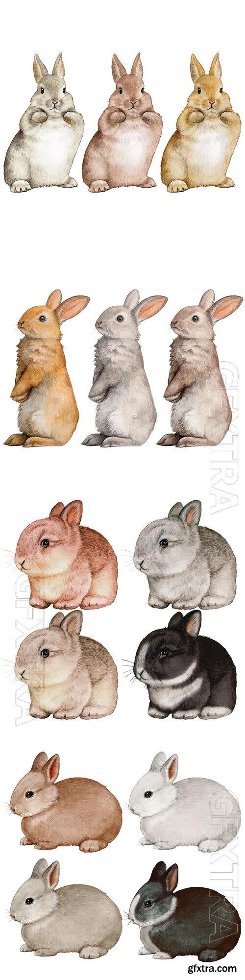 Hand drawn bunny collection - Watercolor vector illustration